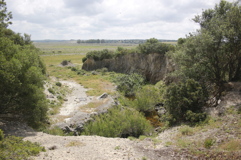 Se alquila Finca de 4ha para tener animales - Finca ecuestre in Chiclana de la Frontera