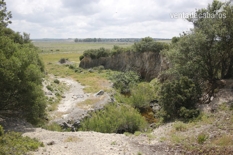 Se alquila Finca de 4ha para tener animales - Finca ecuestre in Chiclana de la Frontera