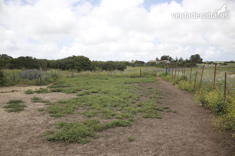 Finca ecuestre - Se alquila Finca de 4ha para tener animales