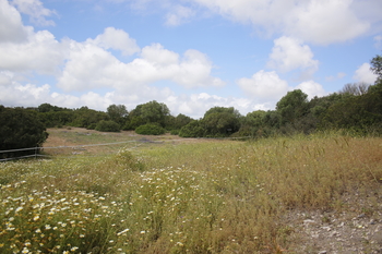 Se alquila Finca de 4ha para tener animales