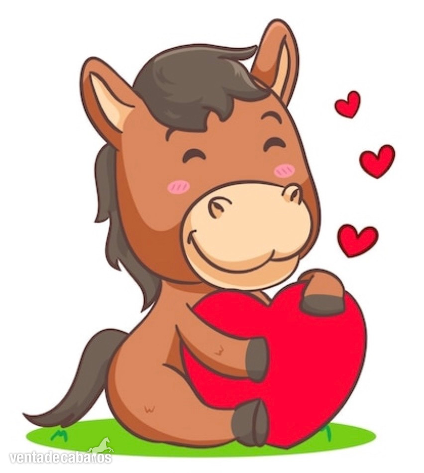 Busco voluntari@s para mis caballos in 