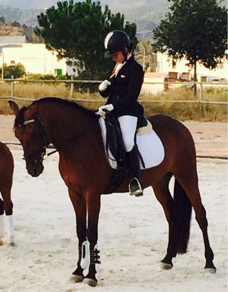 Lusitano