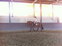 Venta de caballo