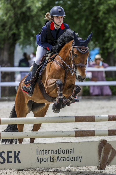 Poni C en venta de salto in 