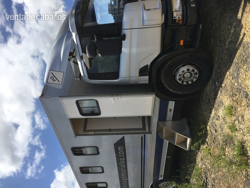 Camión para 8 caballos  - Transportes de caballos