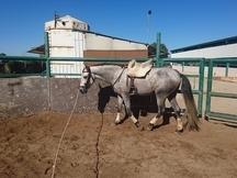 FANTÁSTICO PRE 3,5 años con SUPER caracter.