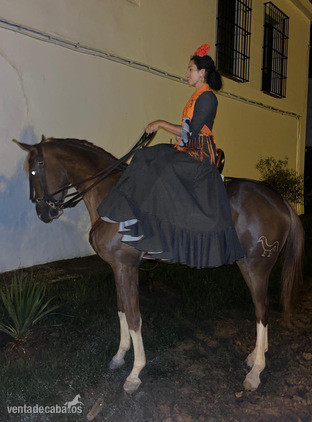 Caballos Capados EMPTY - Potro alazán careto y cuatralbo exclusivo