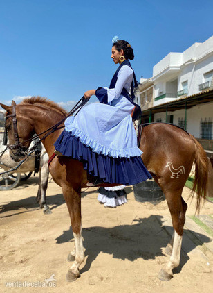 Potro alazán careto y cuatralbo exclusivo - Caballos Capados EMPTY