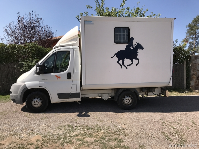 FURGÓN CITROEN JUMPER PARA TRANSPORTE DE DOS CABALLOS in 