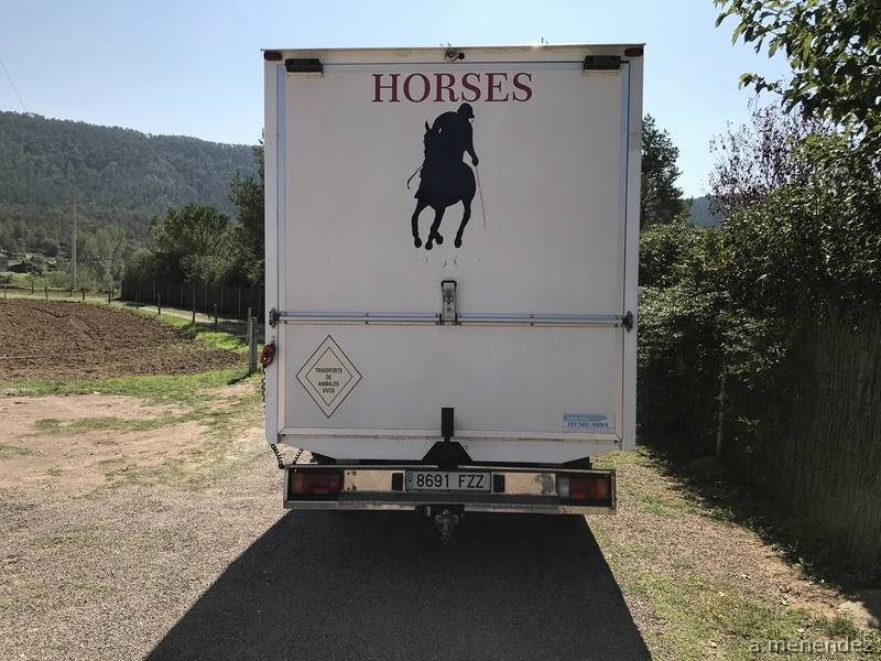  FURGÓN CITROEN JUMPER PARA TRANSPORTE DE DOS CABALLOS