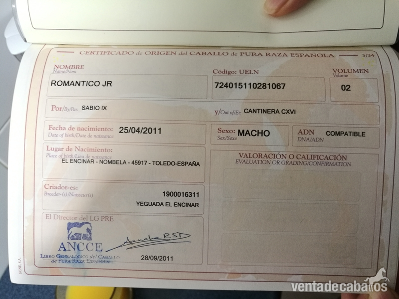 MAGNIFICO PRE CON 7 AÑOS Y MEDIO. (Alta Escuela)
