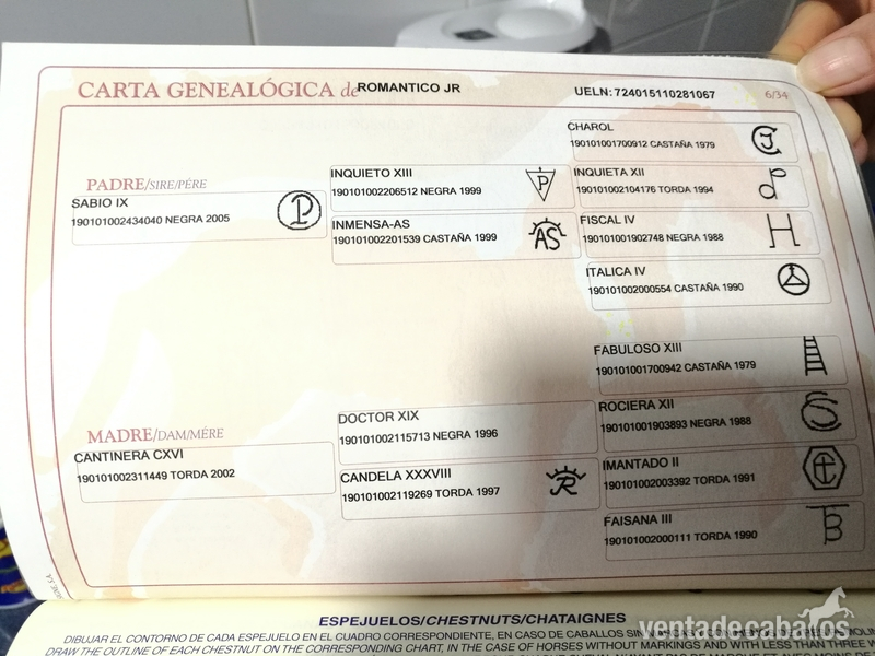  MAGNIFICO PRE CON 7 AÑOS Y MEDIO. (Alta Escuela)