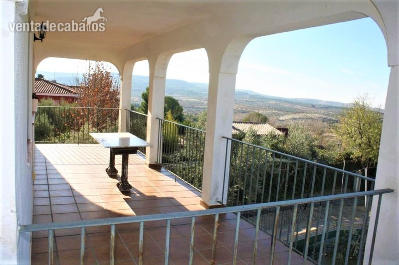 chalet con picadero en Chinchón - Hípicas y establos en venta in chinchon