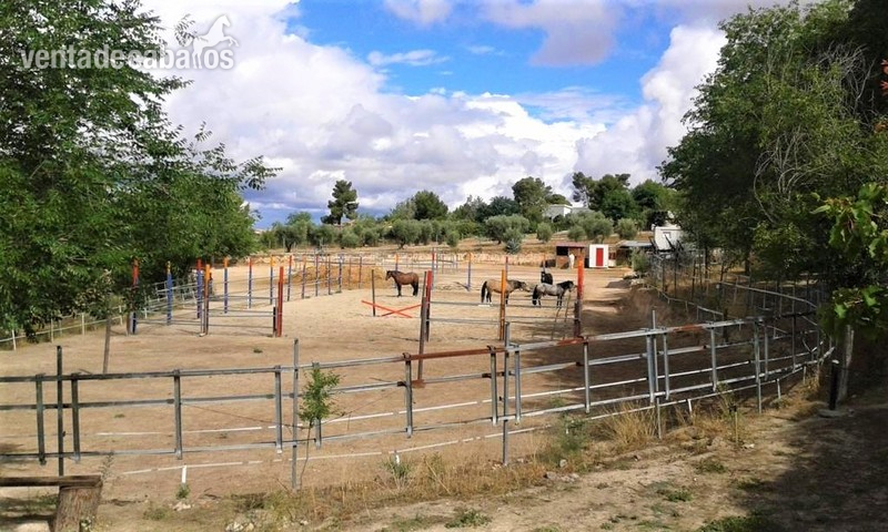 chalet con picadero en Chinchón chinchon