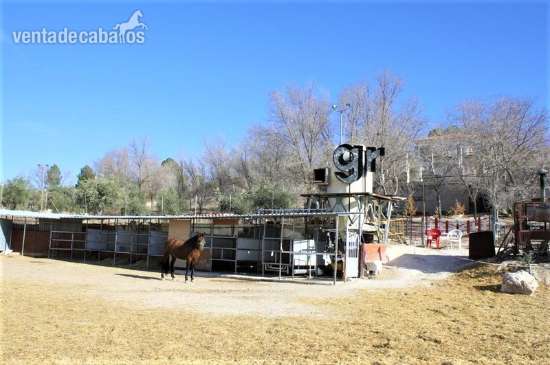 Hípicas y establos en venta - chalet con picadero en Chinchón in chinchon