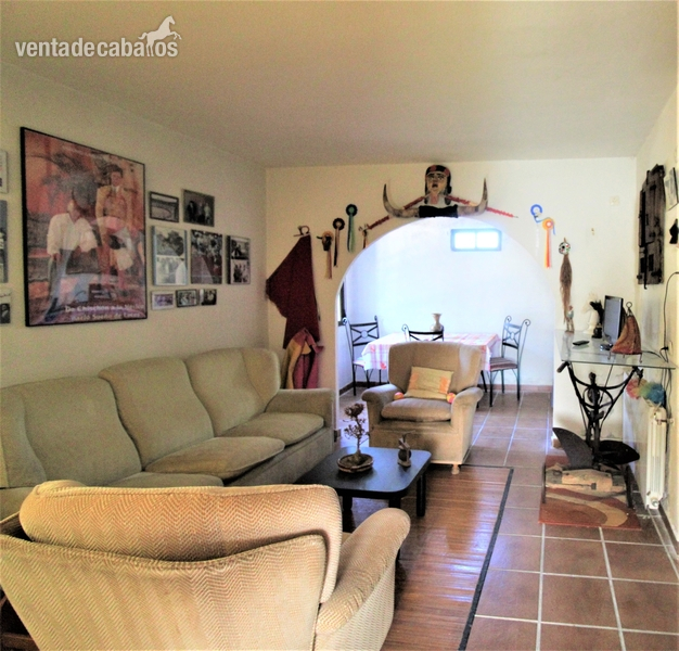 Hípicas y establos en venta - chalet con picadero en Chinchón