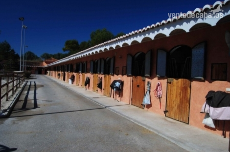 CENTRO HIPICO EN VENTA in CHIVA