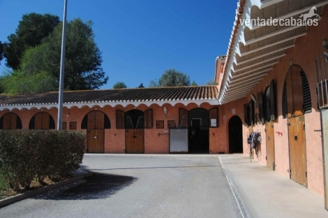 CENTRO HIPICO EN VENTA
