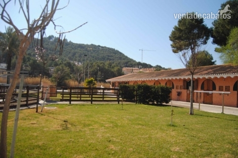 CENTRO HIPICO EN VENTA - Hípicas y establos en venta in CHIVA