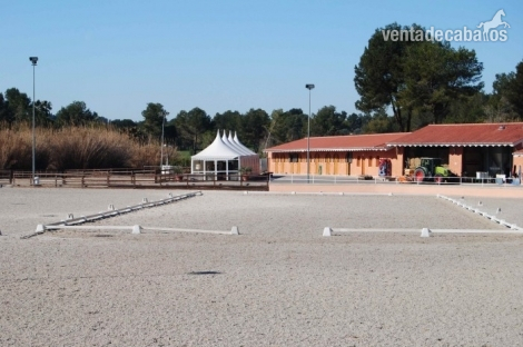 CENTRO HIPICO EN VENTA CHIVA