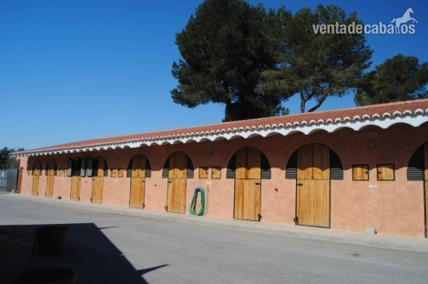Hípicas y establos en venta - CENTRO HIPICO EN VENTA in CHIVA