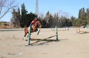 Pura Raza Española