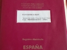 yegua montada y enganchada