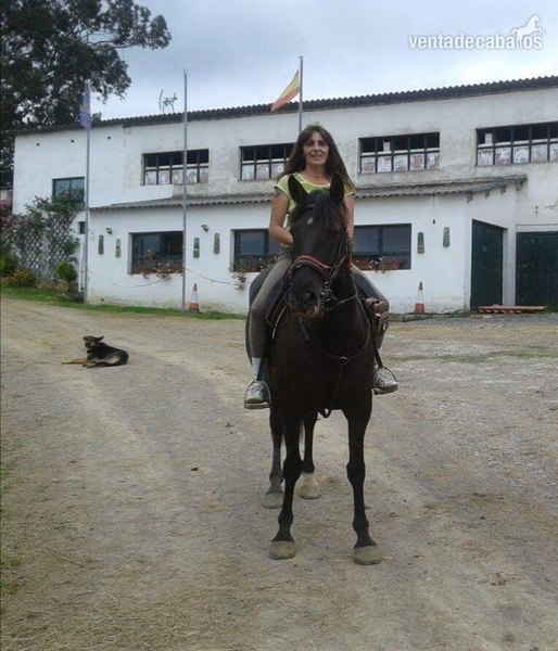 Hispano luxo muy sano y cuidado in 