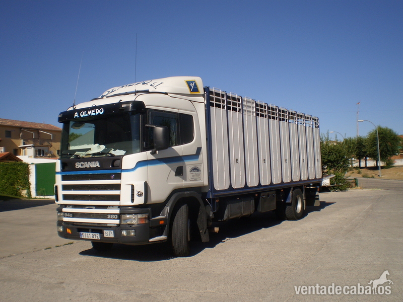 TRANSPORTE DE CABALLOS NACIONALES E INTERNACIONALES