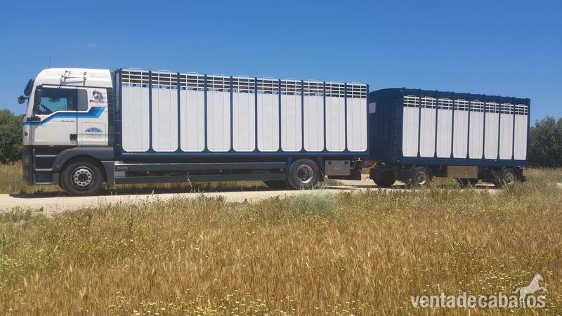 TRANSPORTE DE CABALLOS NACIONALES E INTERNACIONALES