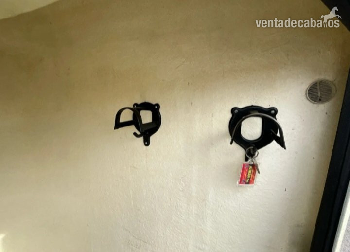 Remolque Humbaur para dos caballos - Remolques de caballos in 