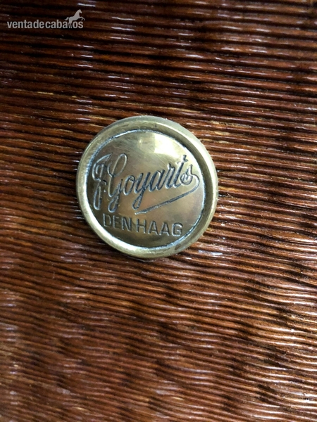 Faeton Hungaro