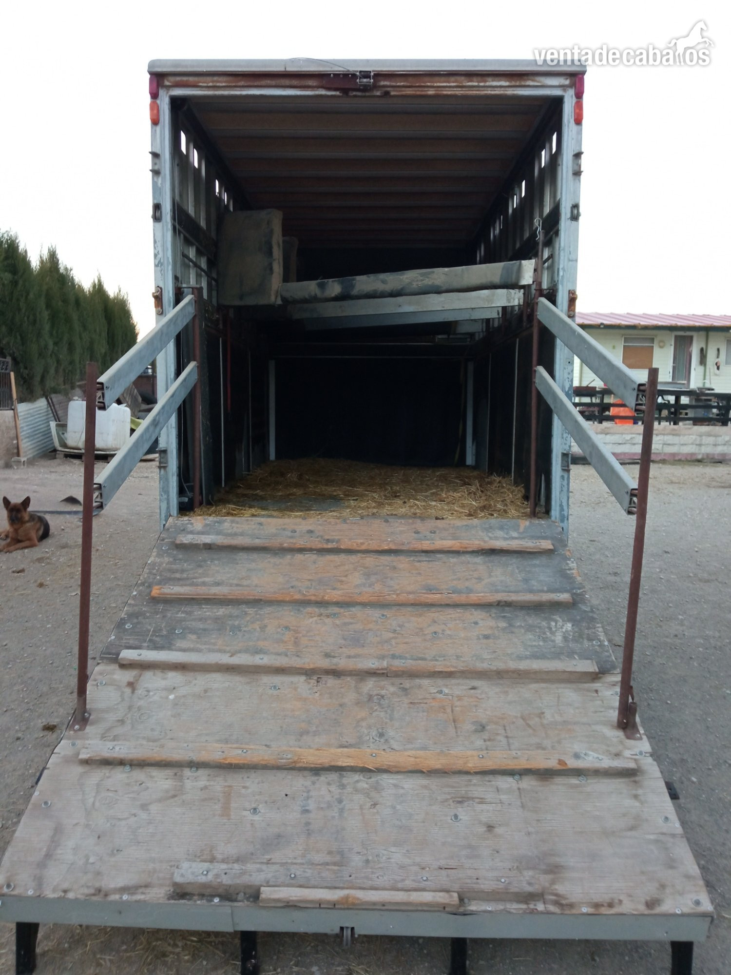 Camion 3500 kg 