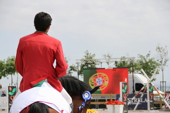 Venta de vários caballos para saltos