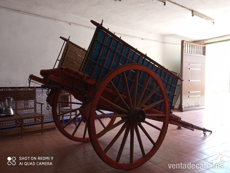 Se vende carro