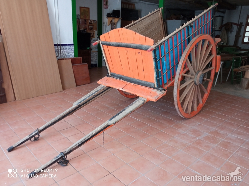  Se vende carro