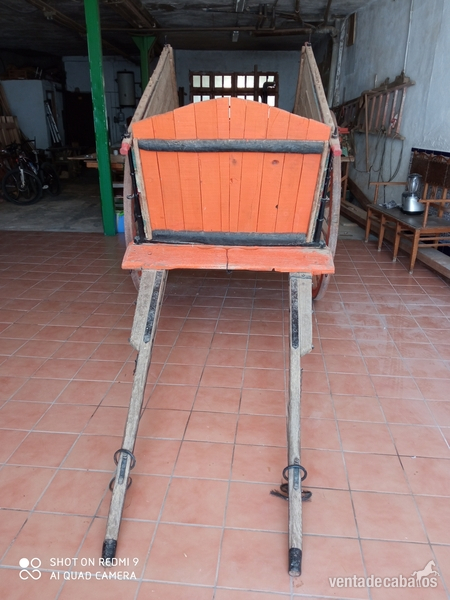 Se vende carro - Carruajes y Enganches in 
