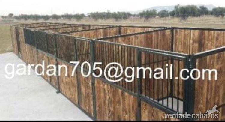  Box cuadra caballo