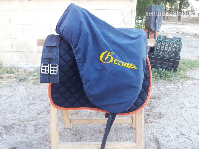 Montura Doma Clasica GERMANIA DRESSAGE  in 