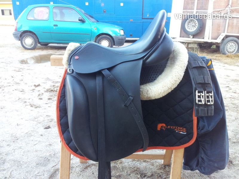 Montura Doma Clasica GERMANIA DRESSAGE  - Sillas de montar