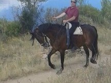 CABALLO CRUZADO CASTAÑO