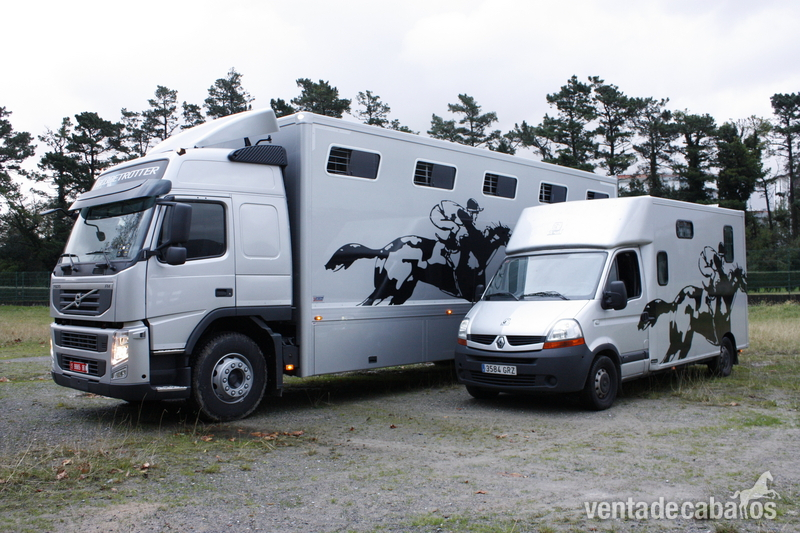 Transportes internacional de caballos in 