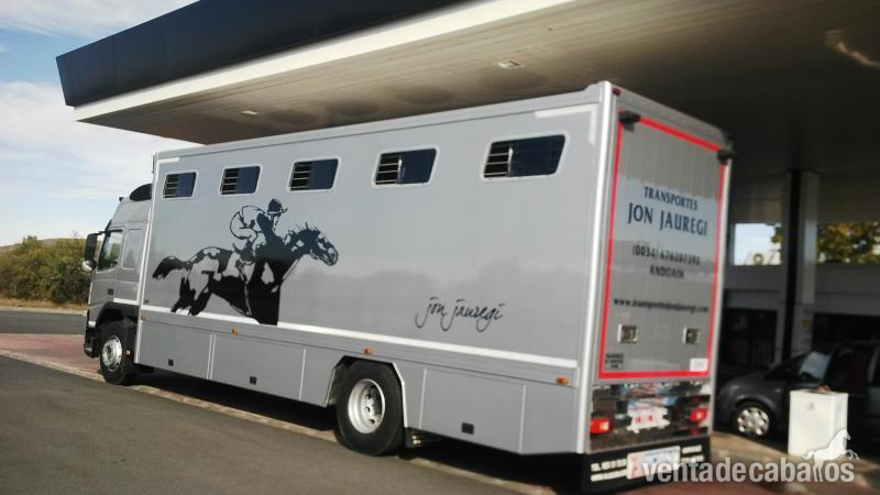 Transportes internacional de caballos