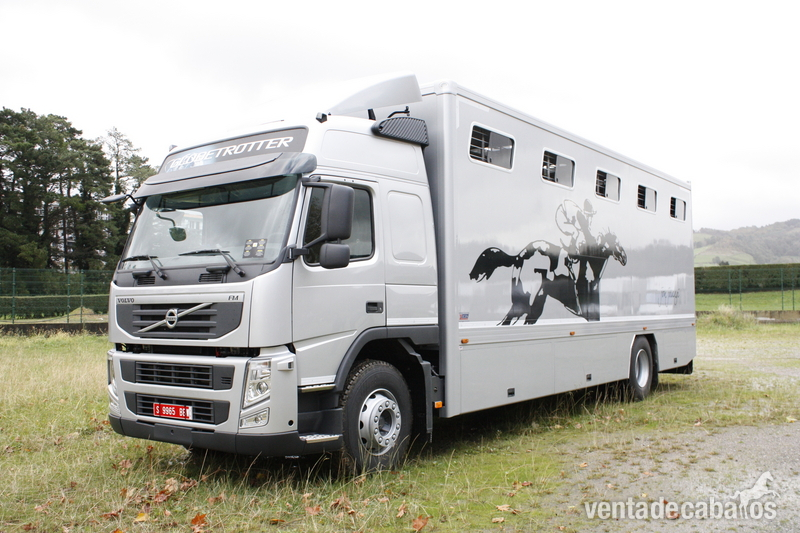  Transportes internacional de caballos