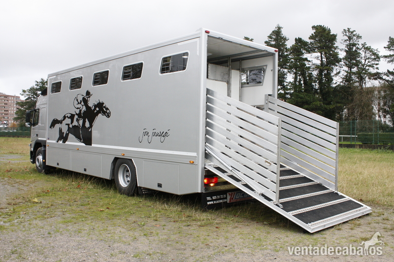 Transportes internacional de caballos - Transportes de caballos in 