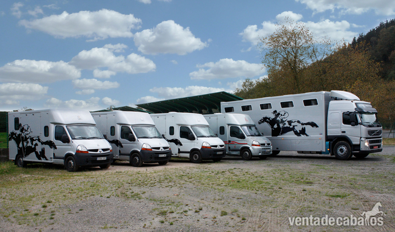 Transportes internacional de caballos - Transportes de caballos