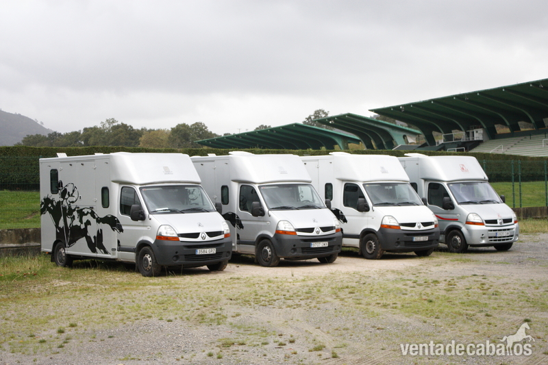 Transportes internacional de caballos 
