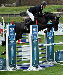 Castrado Hannoveriano Super Talentoso in 