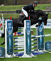 Castrado Hannoveriano Super Talentoso