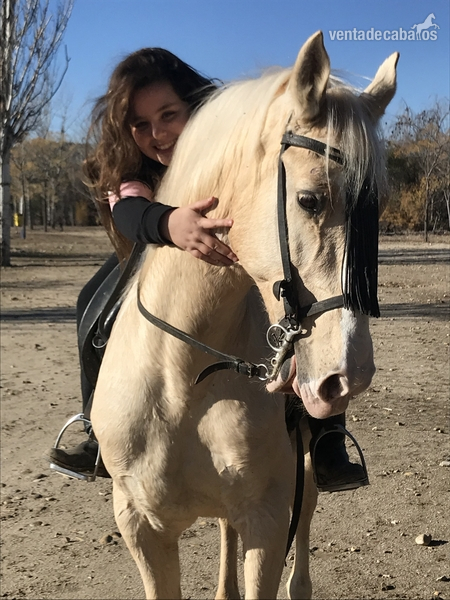 Hispano-Arabe {TYPE}
